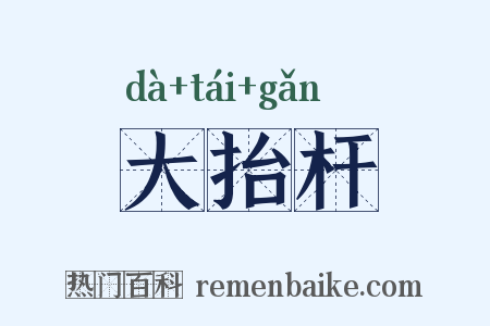 大抬杆是什么意思的图片
